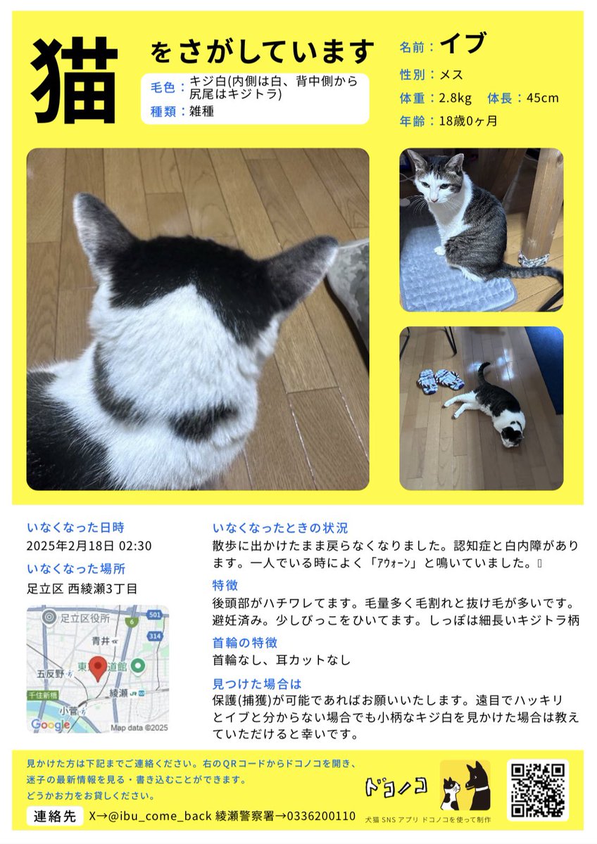 ibu_come_back's tweet photo. #拡散希望
#迷子猫
#迷い猫
イブがいなくなってからまる2ヶ月が経ちました。実は我が家には黒猫もいるんですが、元々別で暮らしていたので一緒に住むようになっても仲良くは出来なかったので、1階と2階で棲み分けていました。貴重なツーショットです。よくこの距離感でお帰りをしてくれていました。 https://t.co/cY85b3Xj5C
