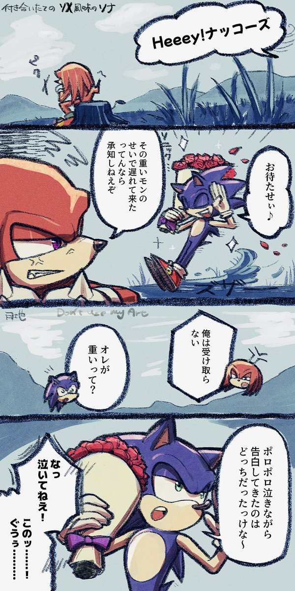#ソニナコ #sonknux   
ソX5話に影響受けすぎた