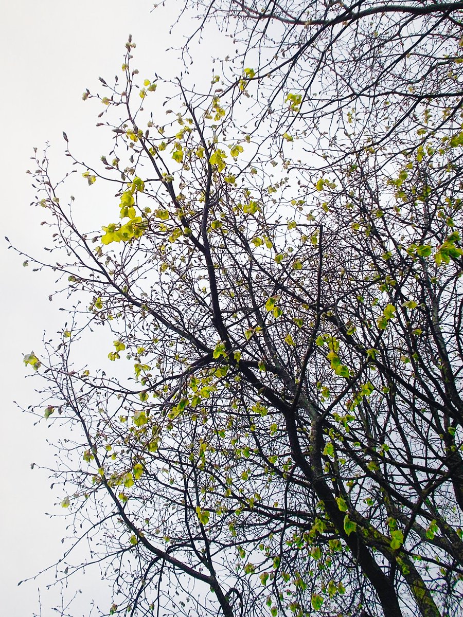 #April 🌦️
#Spring #Photography