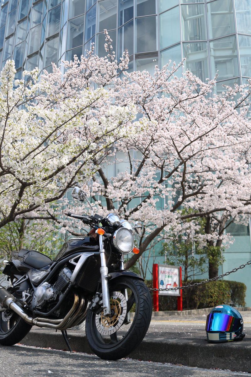 Noz_BaliMini's tweet photo. 春爛漫🌸
やなことあったらバイクで走って
心を浄化させたい🏍️
バリちゃん今日もいかしてるわ〜🫶🫶
#KAWASAKI
#balius
#春
#桜
#ジドリストの集い https://t.co/6cs7nSXzHC