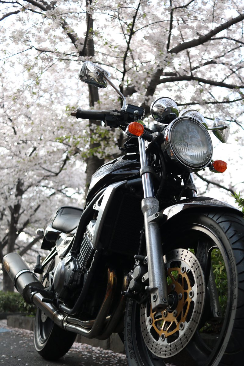 Noz_BaliMini's tweet photo. 春爛漫🌸
やなことあったらバイクで走って
心を浄化させたい🏍️
バリちゃん今日もいかしてるわ〜🫶🫶
#KAWASAKI
#balius
#春
#桜
#ジドリストの集い https://t.co/6cs7nSXzHC