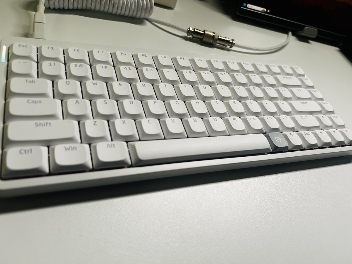 rofxa/ろふぁ tweet media