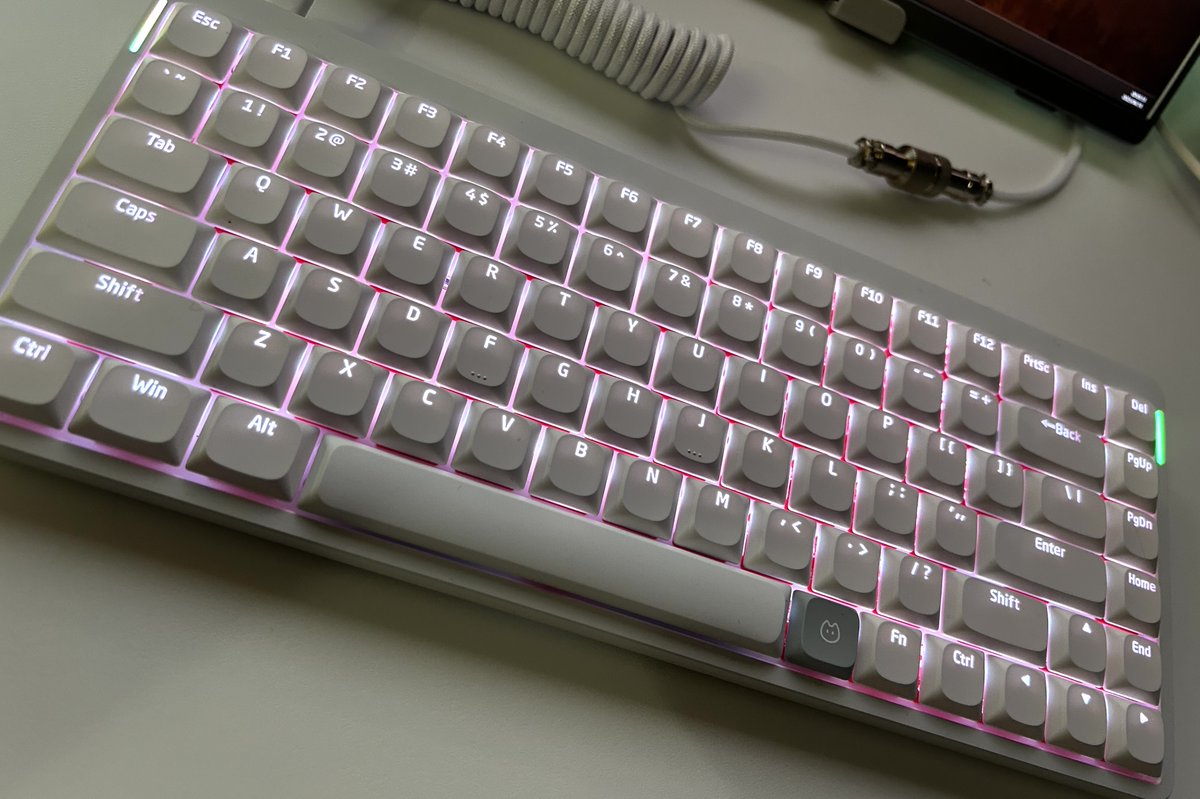 rofxa/ろふぁ tweet media