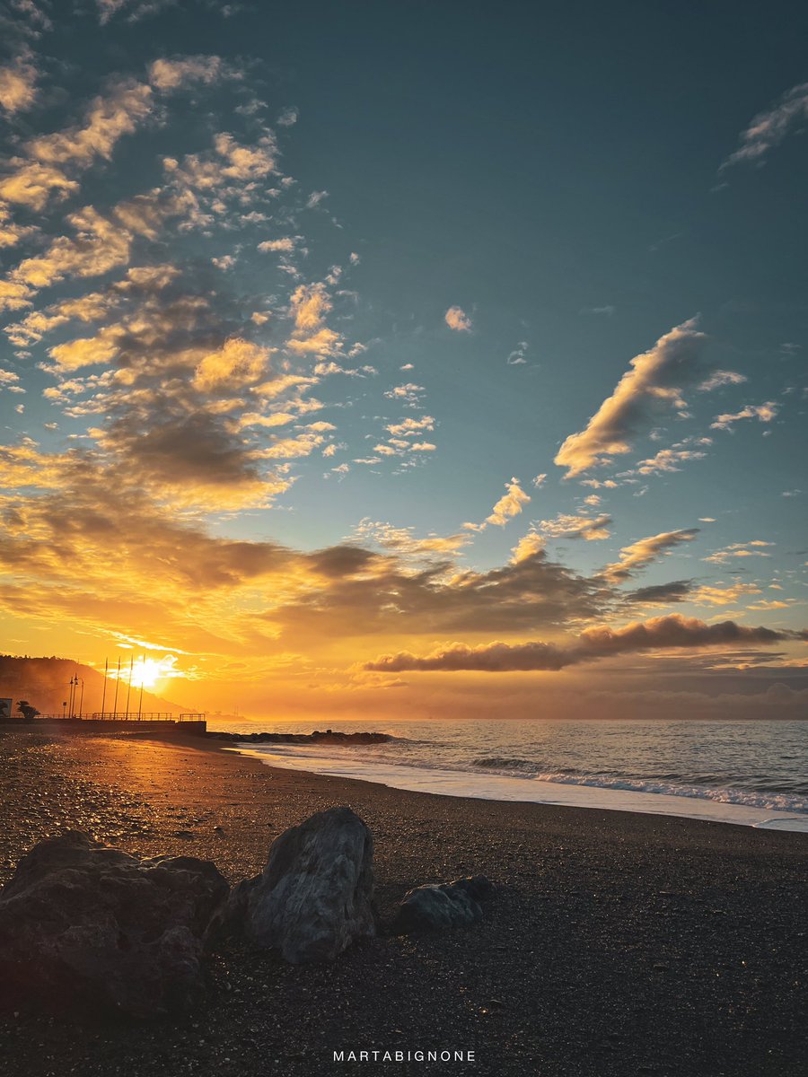 Marta Bignone tweet media