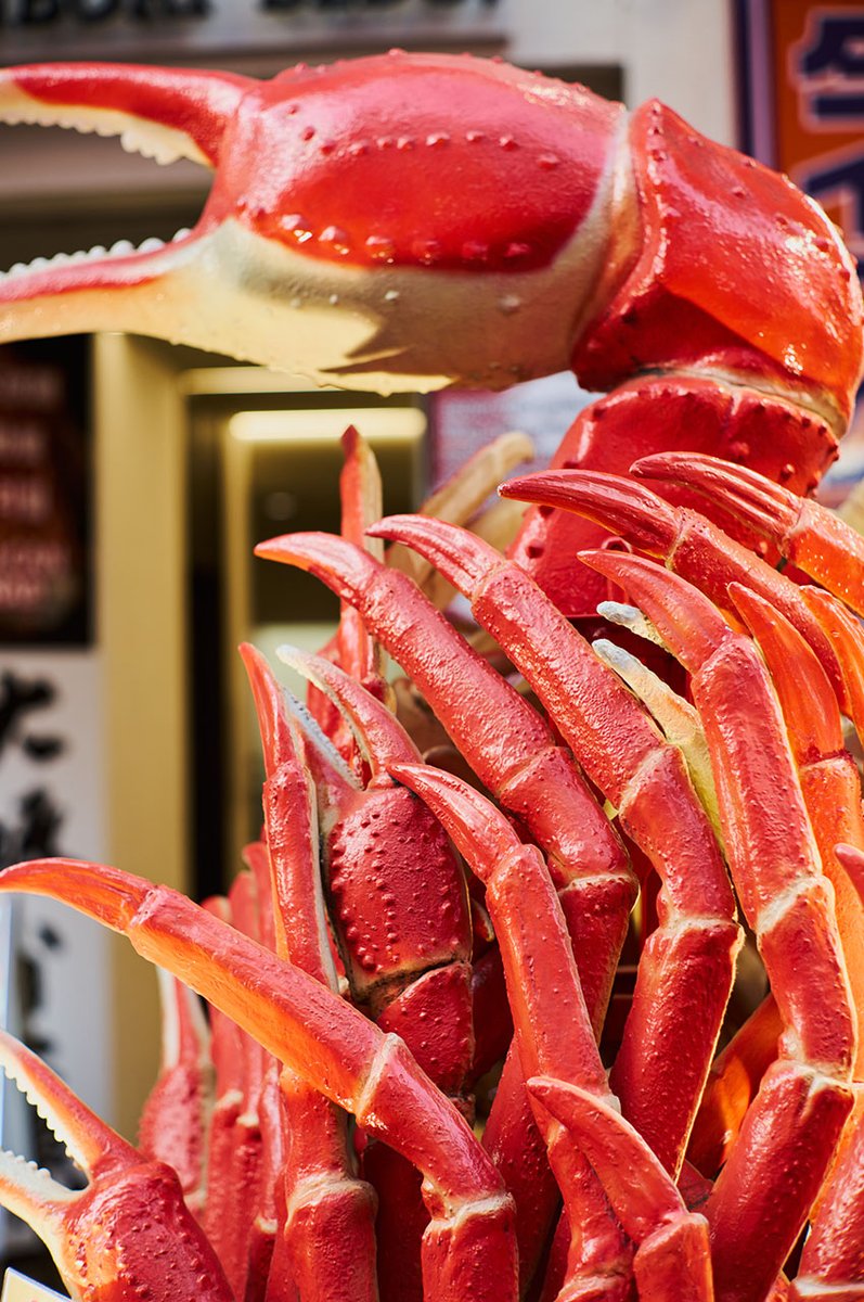 【限定3プリント🦀】
Osaka Claw Stack ─ B5 Fine‑Art Print〈Ed.3〉
真紅のカニ爪を ILFORD Gold Fibre Gloss で出力。
プリント¥98,000 / 額装込み¥123,000（サイン＆COA付）

watarunishida-store.com/items/68025cf0…

#MyOsakaPrint #整と違和 #humanerror