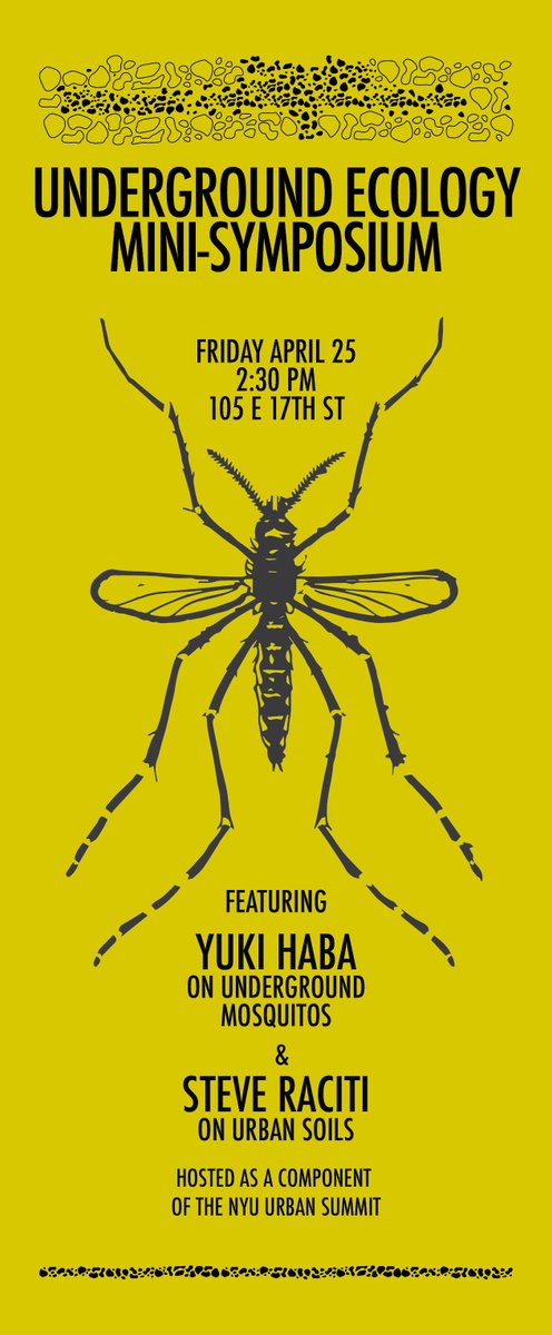 YukiHaba_'s tweet photo. Excited to be giving an invited seminar at NYU @NYUniversity next Friday (Apr 25th), hosted by Dept. Biology, XE, and Gallatin. Come if you want to hear about our recent work on the origin and evolution of an urban, underground mosquito!

RSVP at: https://t.co/CyoDHDZtzu https://t.co/aaxK5TzDjm