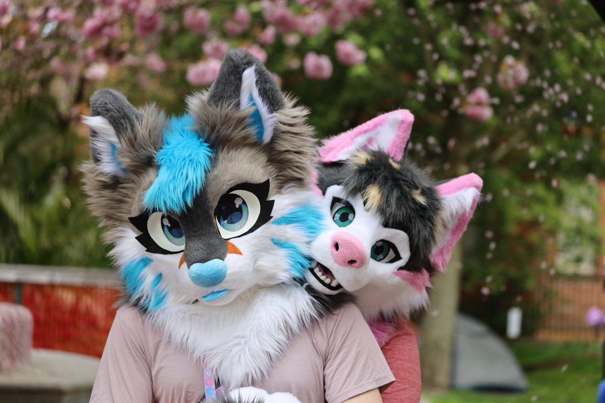 Alwa 🔜 CFz,MFF (@alwahusky) on Twitter photo Keep your kitties safe and they might just purr at you.
😻 marta.nz
📸 <a href="/MaxFilmsVR/">MaxFilmsVR</a>
#FursuitFriday #FursuitsFriday Keep your kitties safe and they might just purr at you.
😻 marta.nz
📸 <a href="/MaxFilmsVR/">MaxFilmsVR</a>
#FursuitFriday #FursuitsFriday