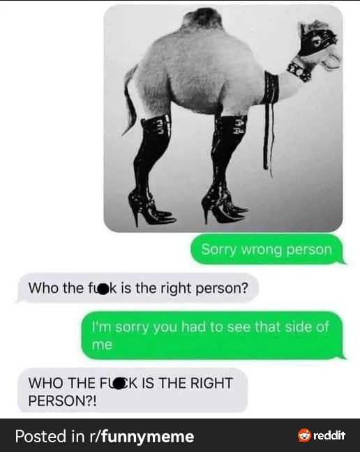 Ang3lLilith's tweet photo. @HumansNoContext https://t.co/QvJZFxlDUp