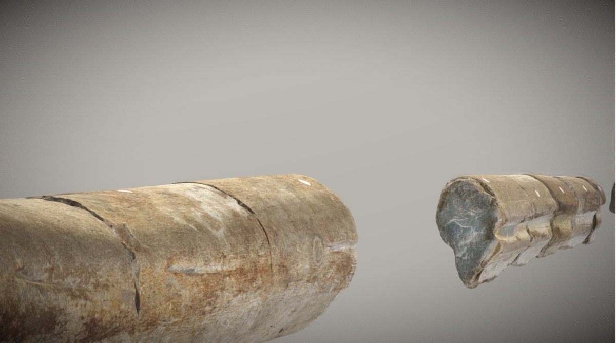Paul de la Salle (@pauldelasalle) on Twitter photo You might ne interested to see the fabulous 3-D model of the Blue Anchor Ichthyotitan severnensis jaw bone produced by <a href="/ThinkSee3D/">ThinkSee3D</a>
sketchfab.com/3d-models/icht… You might ne interested to see the fabulous 3-D model of the Blue Anchor Ichthyotitan severnensis jaw bone produced by <a href="/ThinkSee3D/">ThinkSee3D</a>
sketchfab.com/3d-models/icht…