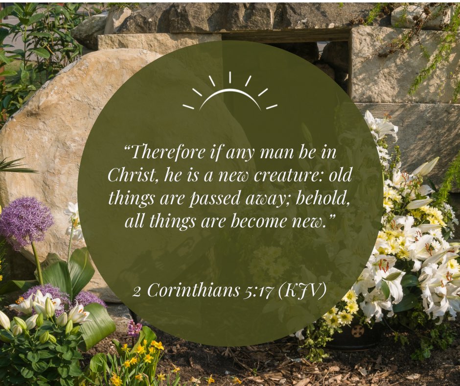 🌷Praying everyone in the Reader Room has a blessed Easter weekend! 🌷

#Easter2025 #Christianfiction #cozymystery