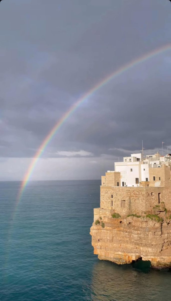 Isabella Capotorto tweet media