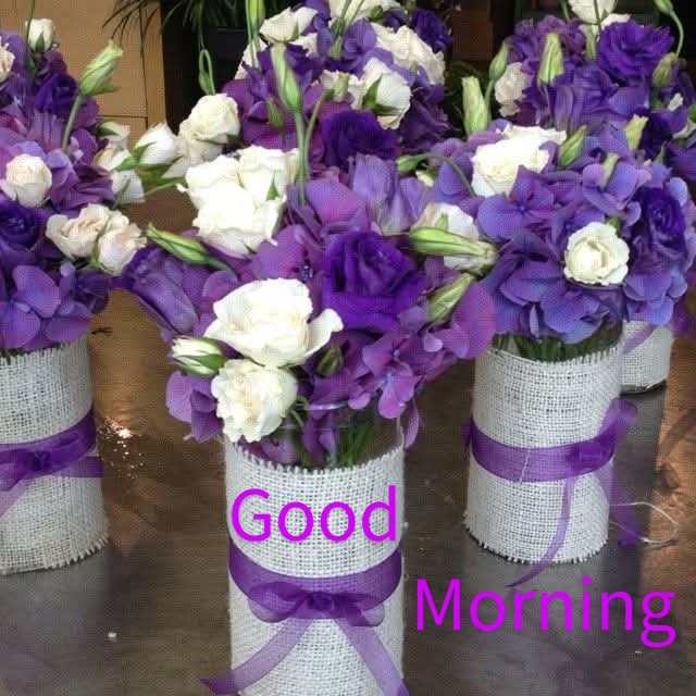 Good Morning ❤️💜