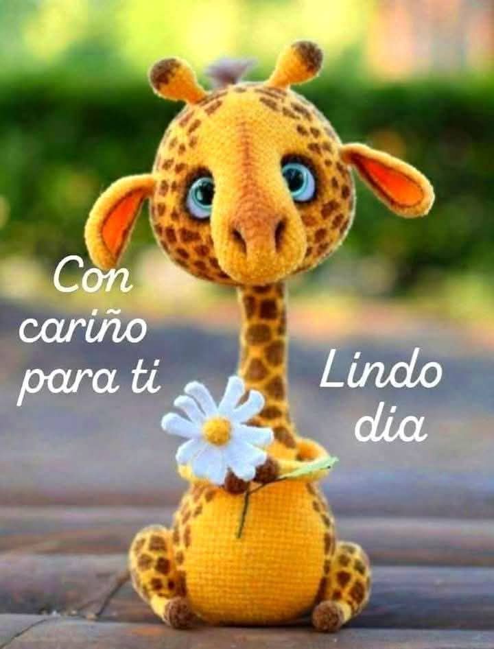 Buenos Días A Todos ❤️💜