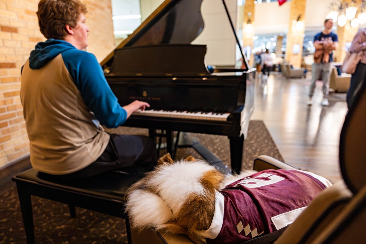reveille's tweet image. How am I supposed to focus on reading when I can relax here all day?? Have a productive reading day Ags! 📚 👍