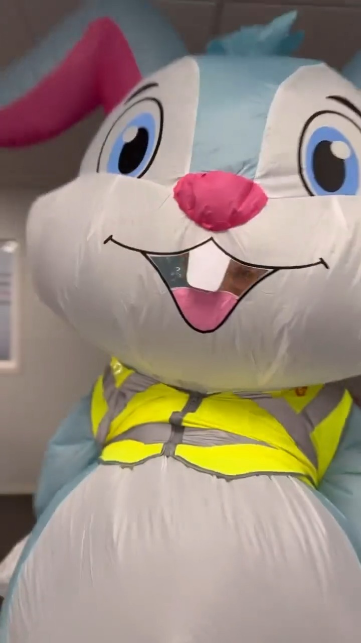 Large Mascot Easter Bunny - TO HIRE Large Mascot Easter Bunny - TO HIRE