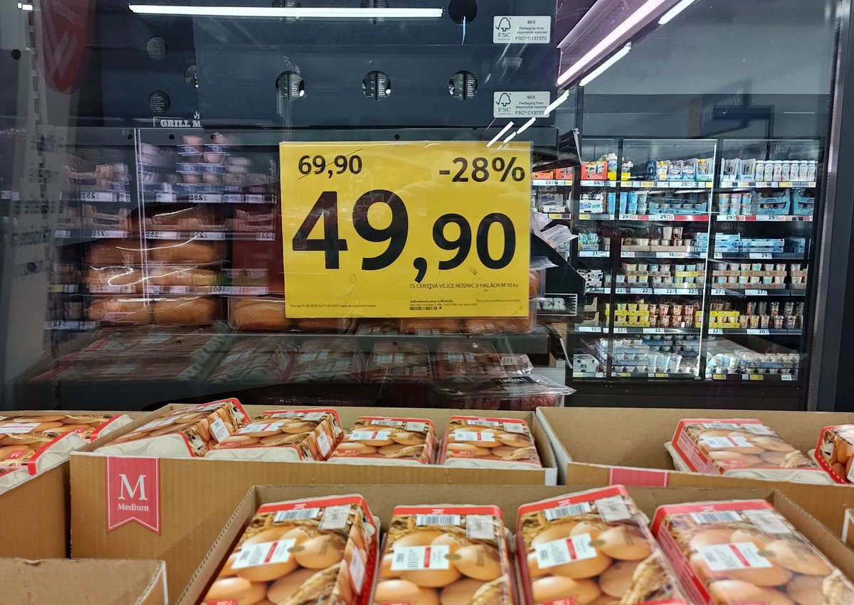 Nic nevypovídá o ekonomických kompetencích Karla Havlíčka víc, než to, že si kupuje vejce za 80 korun.