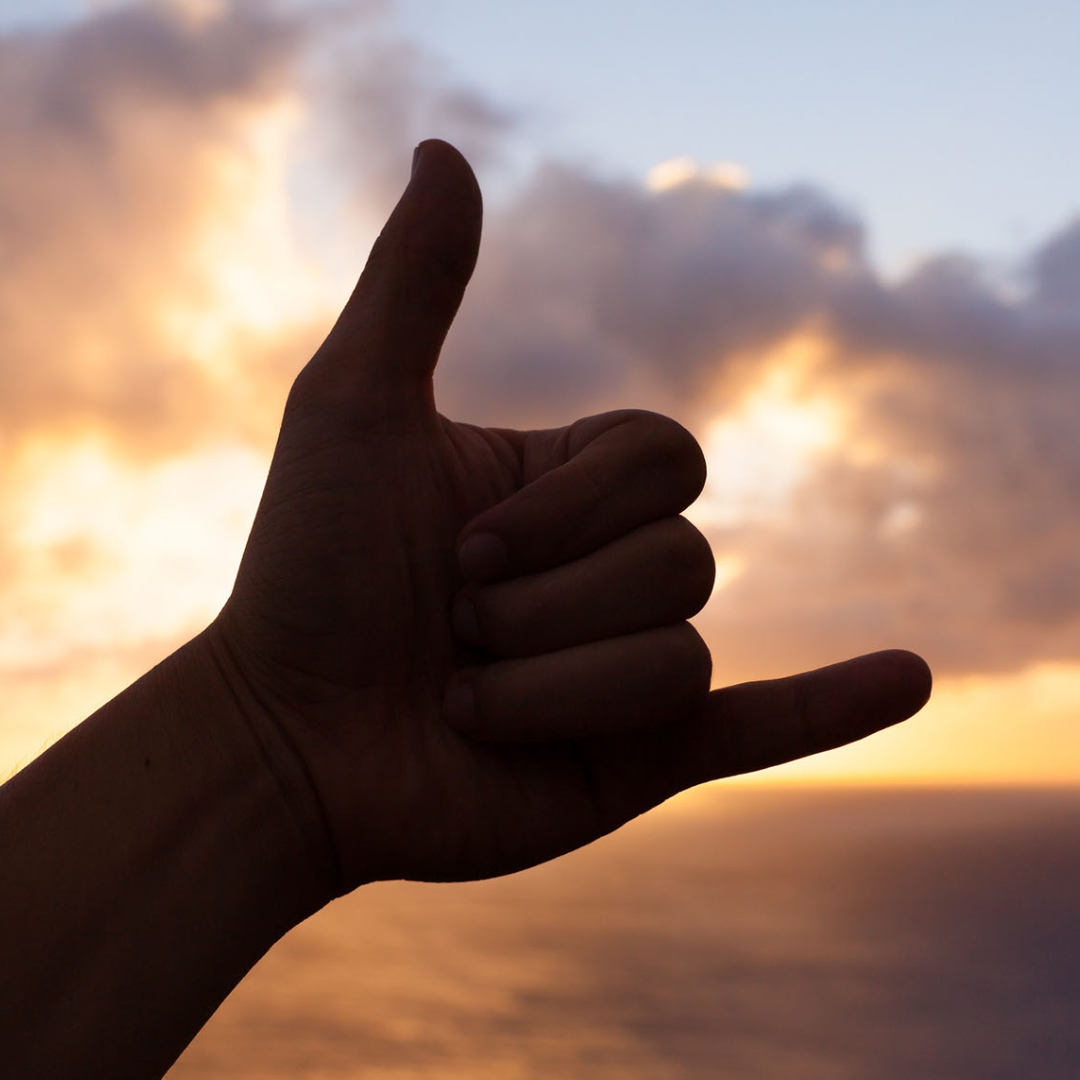 Dunn4Authors's tweet photo. It's Aloha Friday
Shaka is the hand often held up and rotated rapidly back and forth, “shaken”, or shaka.
#AlohaFriday #ItsAlohaFriday #AlohaSpirit #AlohaState https://t.co/67UyNysRUJ