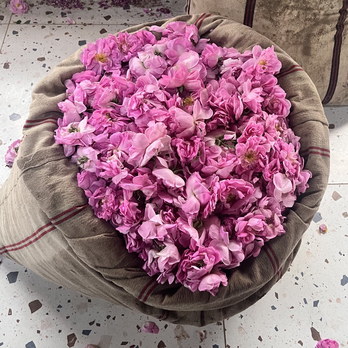 𝑊𝑎𝑠𝑎𝑛 tweet media