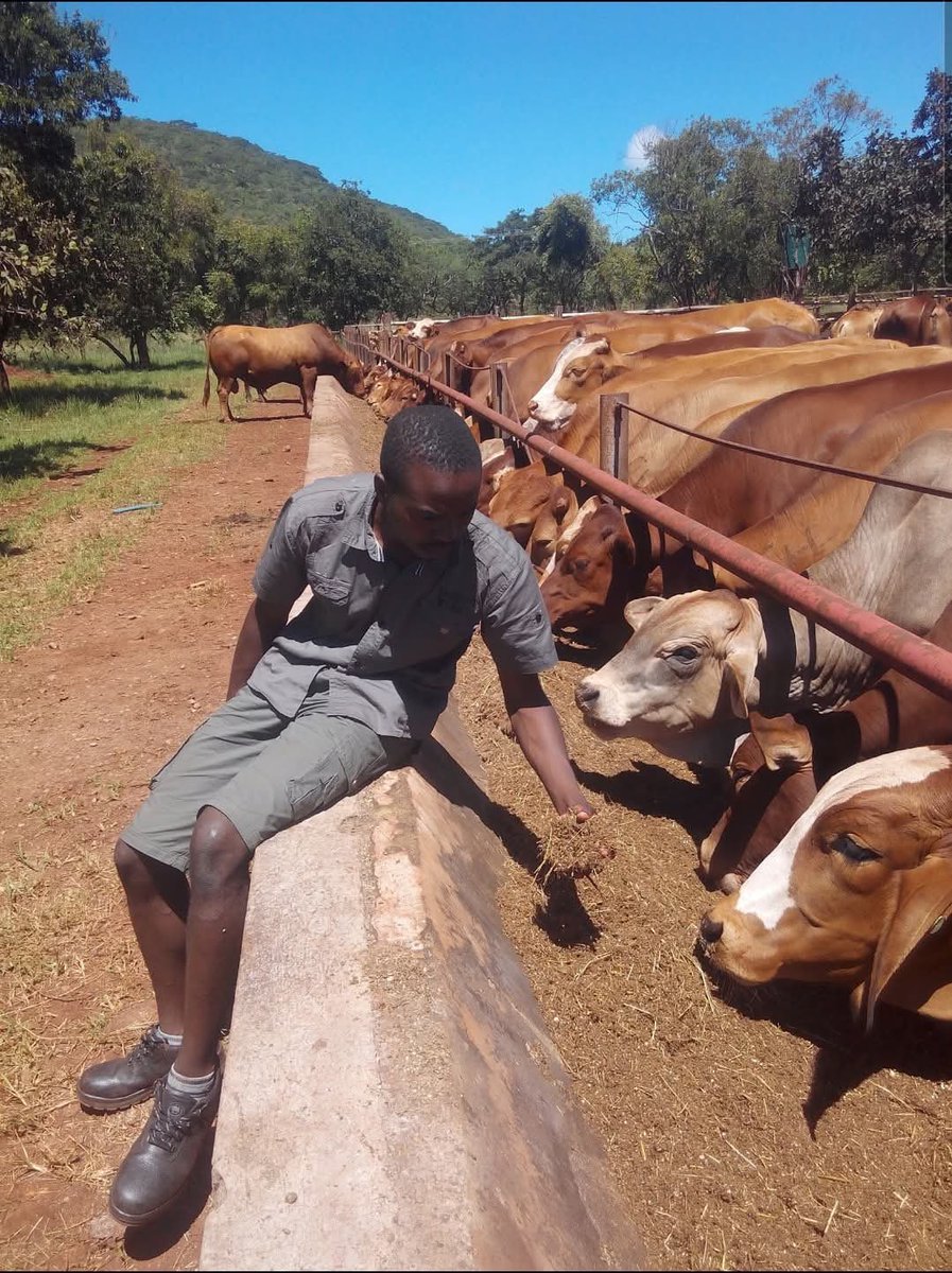 Wenceslous Nyamupfukudza tweet media