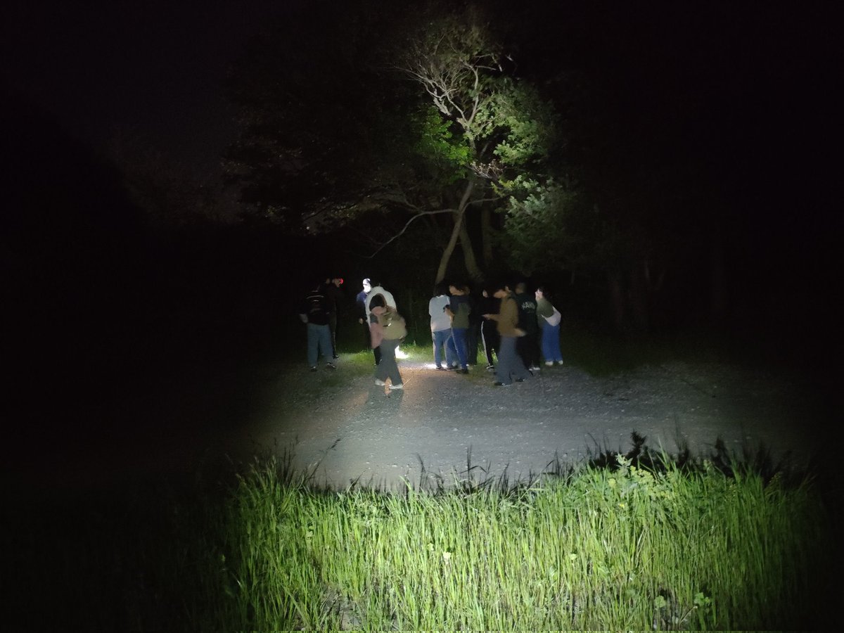 nodaidoken's tweet photo. 哺乳類班です！
本日18日（金）18:00よりキャンパス内で夜探を行いました。多くの1年生に参加してもらう中で、全員がはっきりとタヌキを観察する事ができました！哺乳類は動物を見ることが全てではなく、フィールドサインを読み解く力もとても大事なのでぜひ頑張ってもらいたいです！🦌 https://t.co/LIGWHOwSck