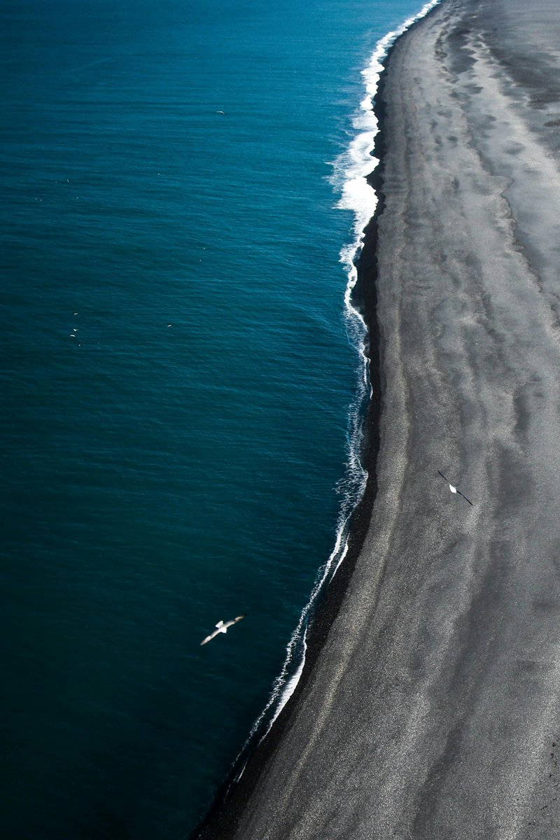 Oceanwire 🇺🇦🌻 (@oceanwire) on Twitter photo #alohafriday
"With care and protection, with safe havens in the ocean, there is still a good chance that we can turn things around." ✨ ~ <a href="/SylviaEarle/">Sylvia A. Earle</a>
📸 Jeremy Bishop #alohafriday
"With care and protection, with safe havens in the ocean, there is still a good chance that we can turn things around." ✨ ~ <a href="/SylviaEarle/">Sylvia A. Earle</a>
📸 Jeremy Bishop