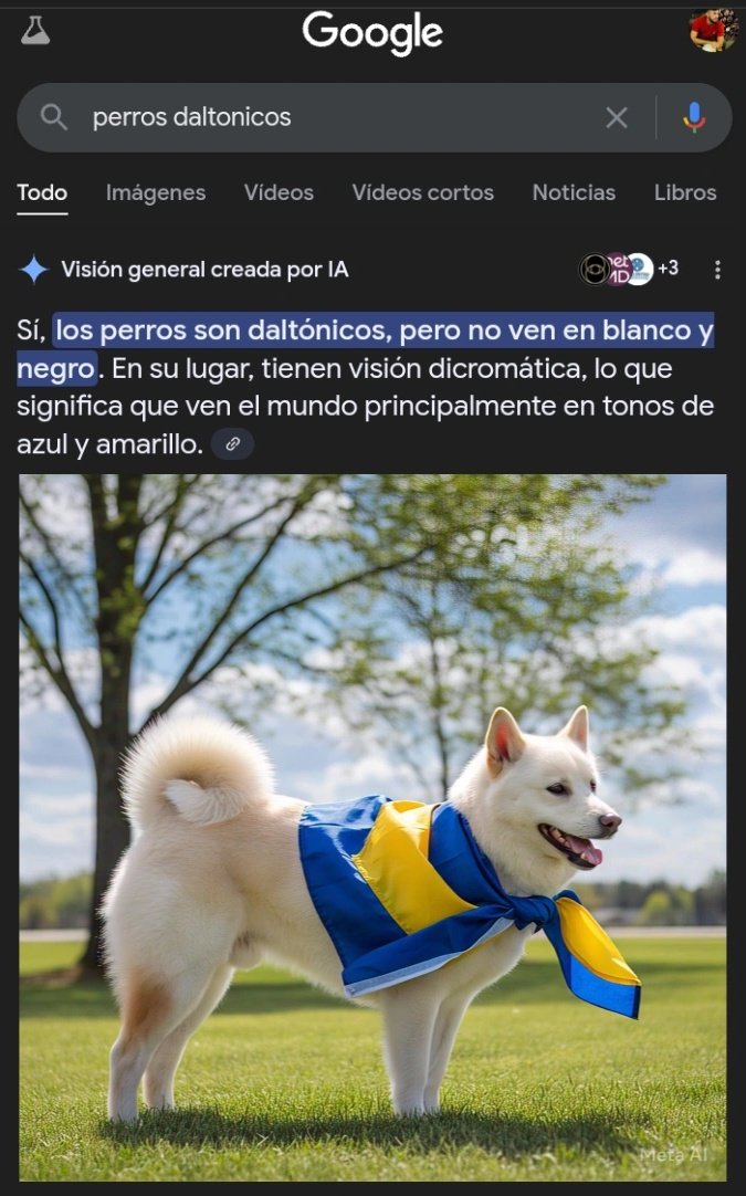 Hola mamá, hoy me diagnosticaron visión dicromática.