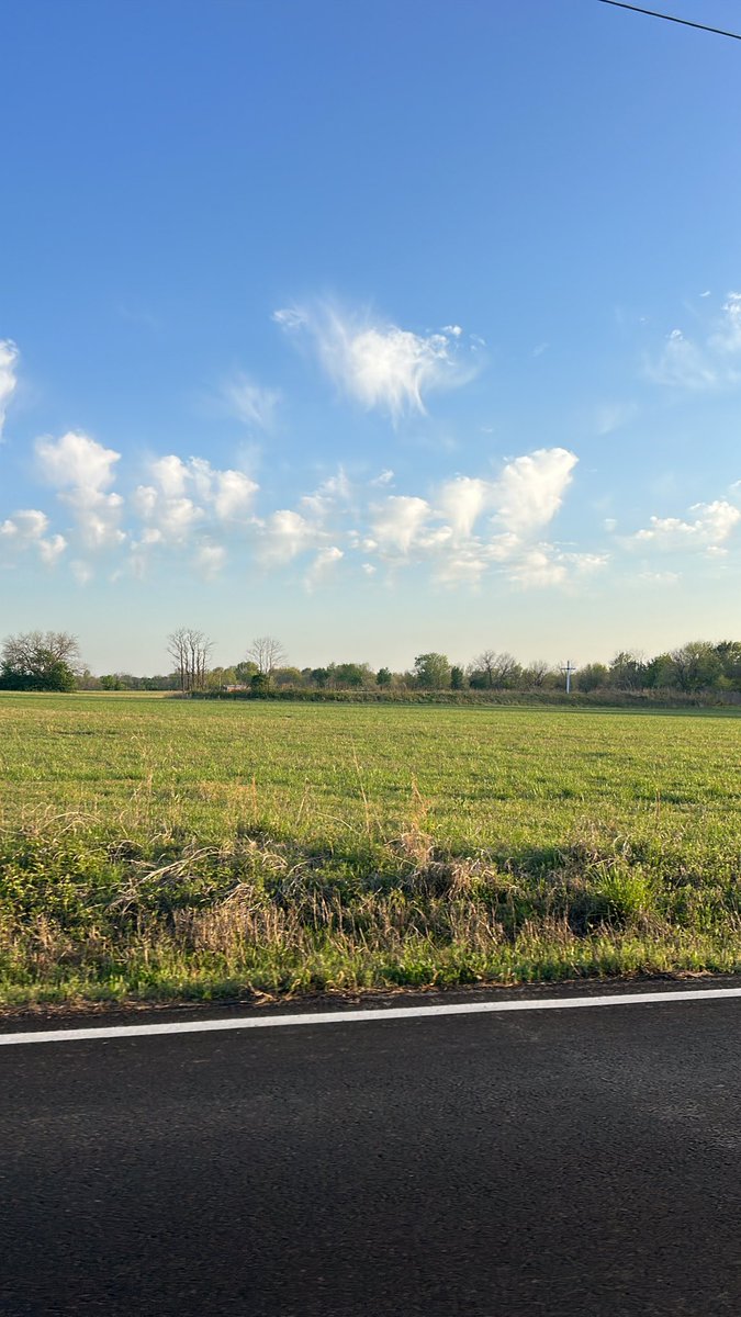 Packs2pavement tweet media