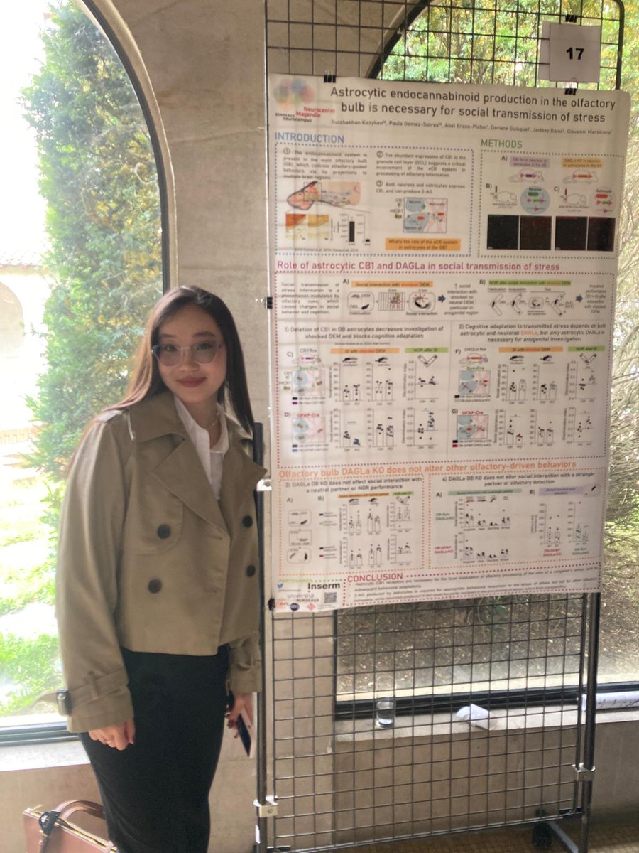 Today my student Gulzhakhan Kazyken was presenting her first poster with the work we have done on the role of astrocytic endocannabinoid production in social transmission of stress without me being there to cheer her up 🥲 but my insiders told me she did amazing!