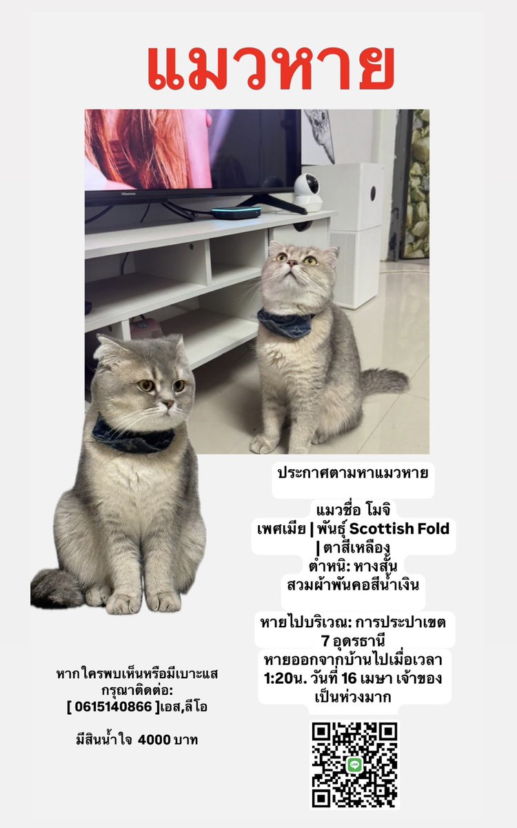 Thicha ෆ tweet media