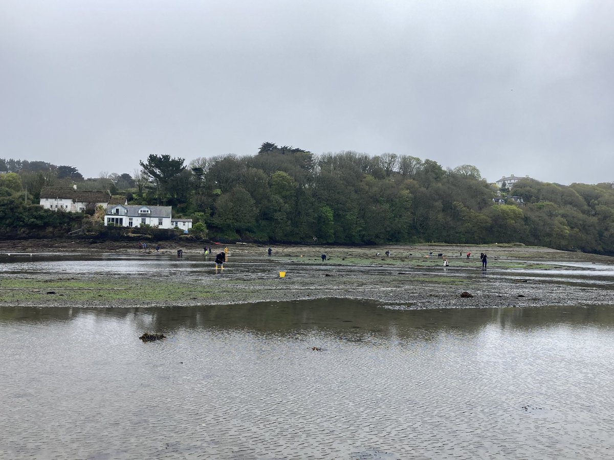 RebeccaLWills's tweet photo. A very brief break in the #rain meant we did eventually manage to get down to the #HelfordRiver for a short spot of #Trigging! #Cockle picking has been one of my family’s #GoodFriday traditions since my Mum was a girl! 
#Cornwall #Cornish #tradition https://t.co/pweZuens1g