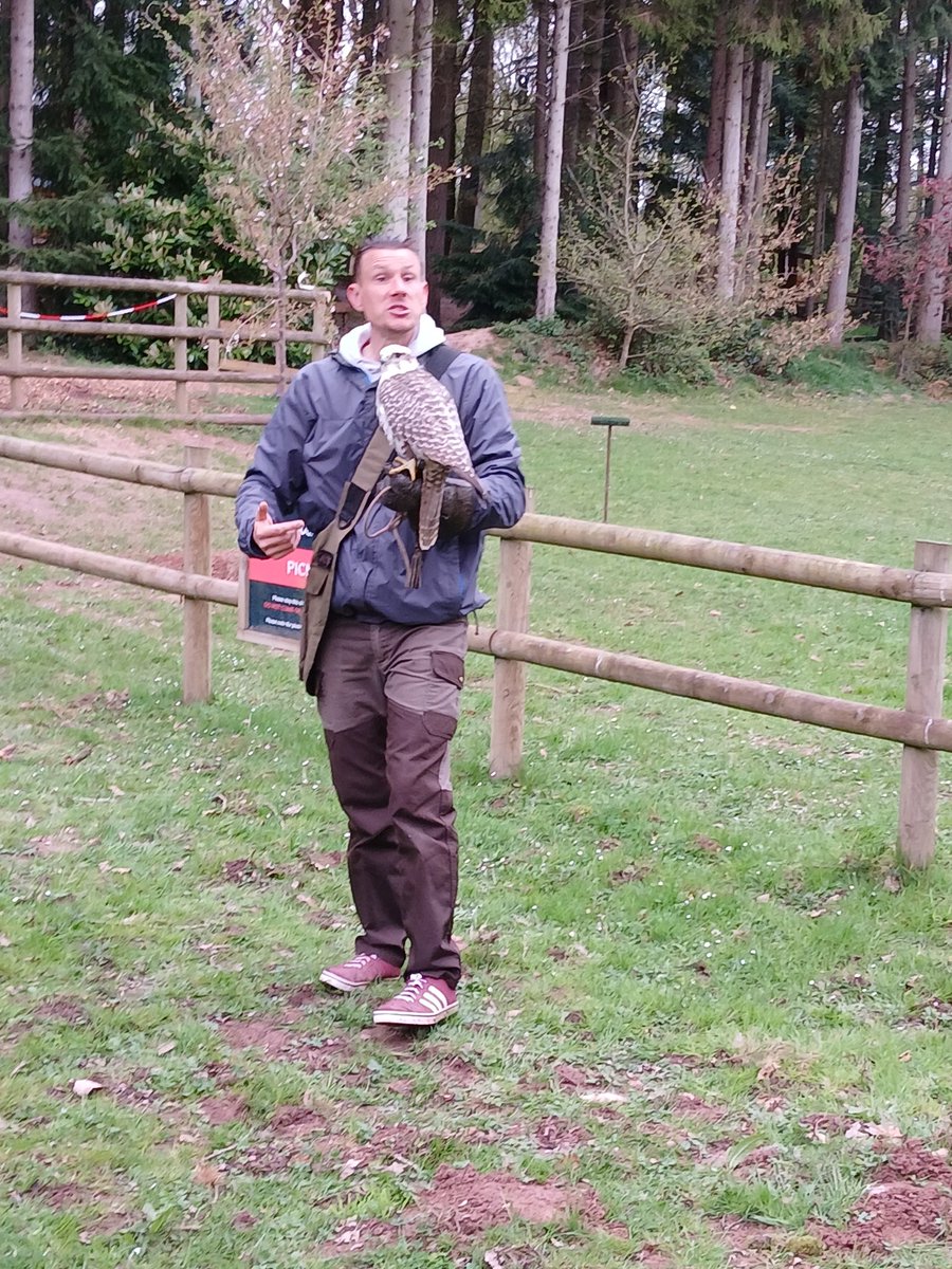 Bird 🐦 of Prey Holiday Club, really well attended! What a super day children and staff had!