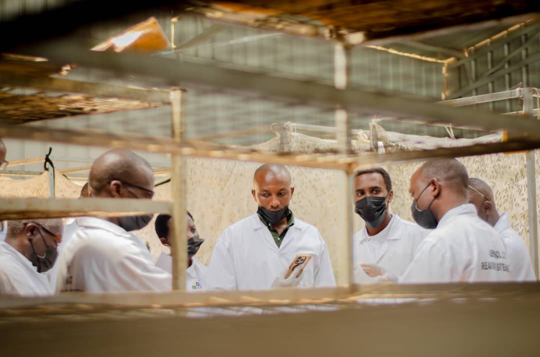 <a href="/UR_CAVM/">UR-CAVM</a> During this visit, the CEO of ABUSOL Ltd shared his experience with farmers on BSF farming, and on the potential of BSF a sustainable solution for #AnimalFeed .  The visiting team toured the BSF farming facility.<a href="/icipe/">icipe</a> <a href="/ACIARAfrica/">ACIAR in Eastern and Southern Africa</a>