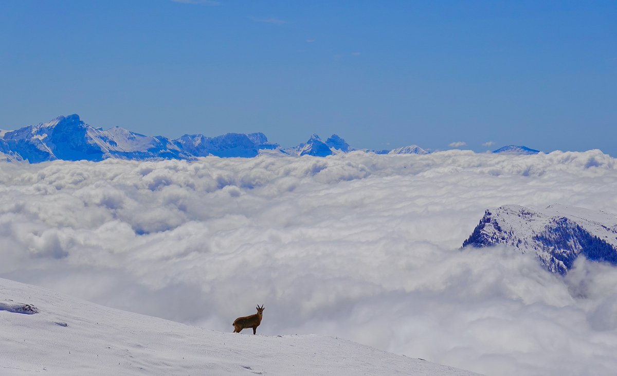 Aujourd'hui dans le Vercors ...