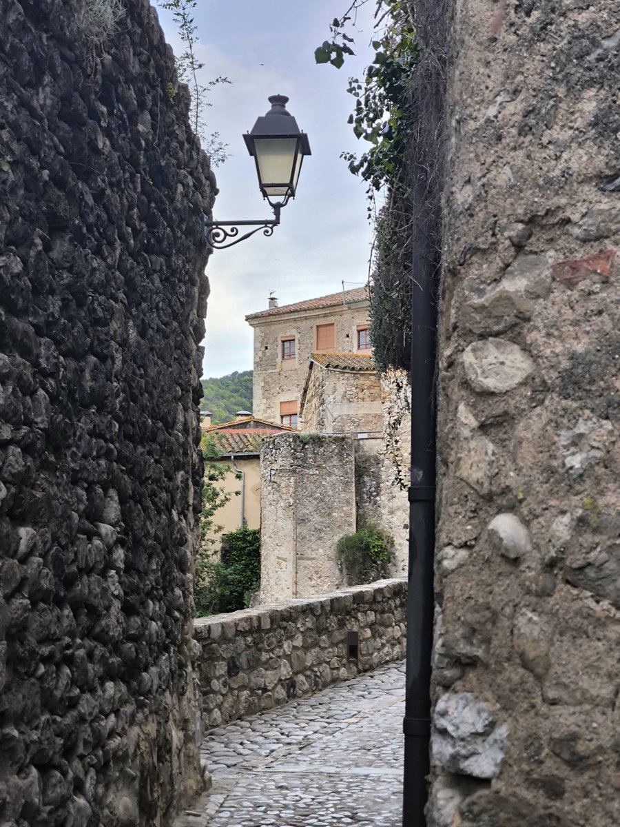 Crosdevall's tweet image. #NoEstoyPanadie