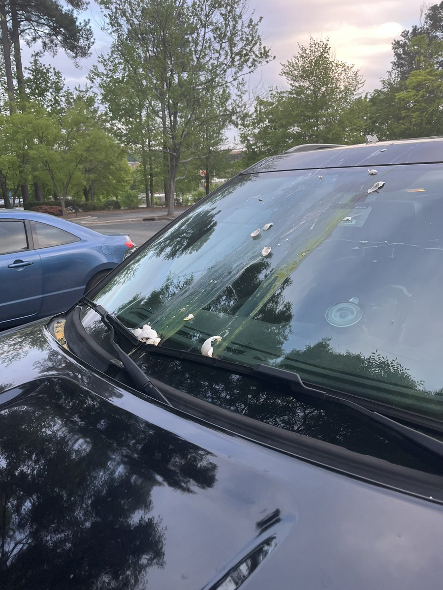 Rep.<a href="/ErinforNC/">Erin Paré</a>’s car was egged at a Republican Women’s Club event this week. 

Who gave these people permission to leave their post from protesting at the local Tesla dealership?