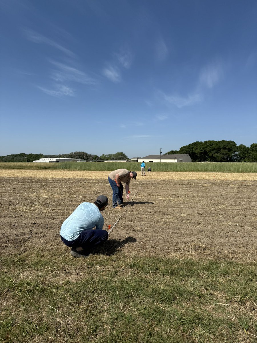 Fieldwork season of the year is officially here! Time to swap lab coats for sunscreen and get our hands dirty with data. Excited for another summer of science, sweat and auburn weed bionomics team. <a href="/Maity_Weed/">Aniruddha Maity</a> <a href="/AuburnU/">Auburn University</a> <a href="/AuburnAg/">Auburn Agriculture</a>