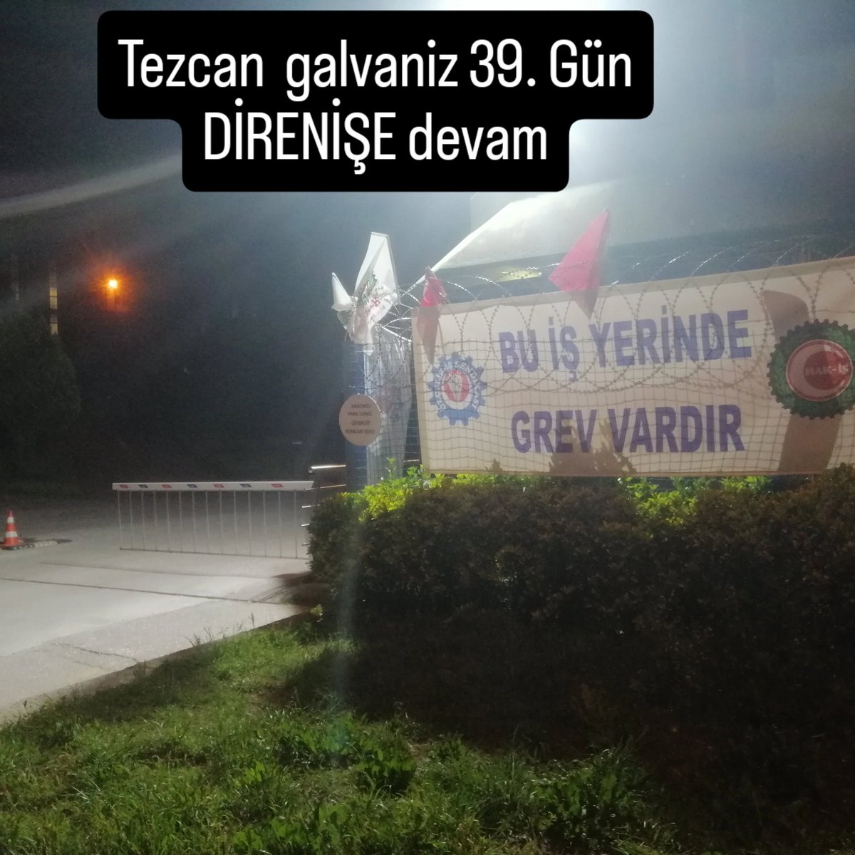 sait celik (@celik_sait65146) on Twitter photo 