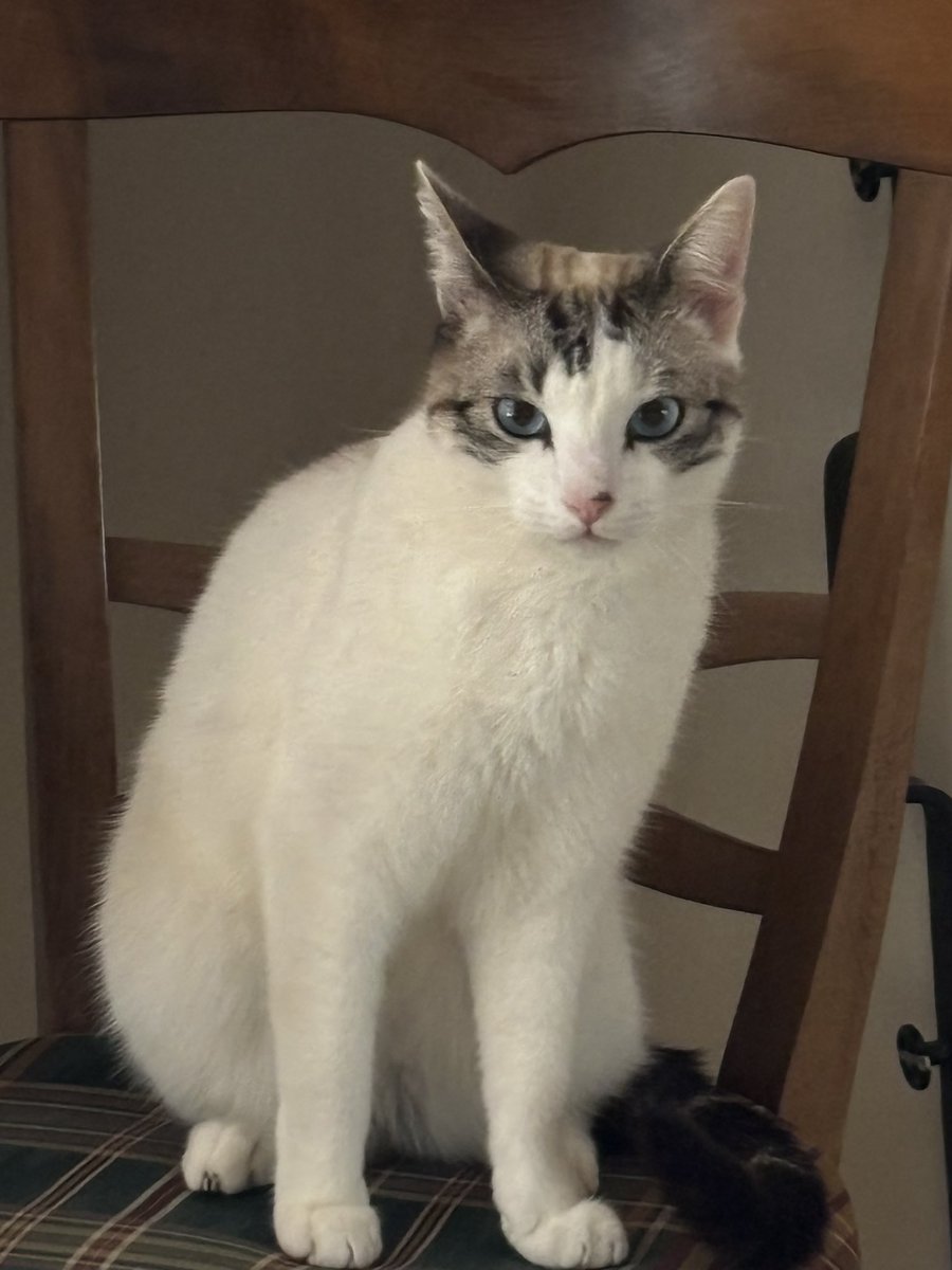 Christine Rolland tweet media