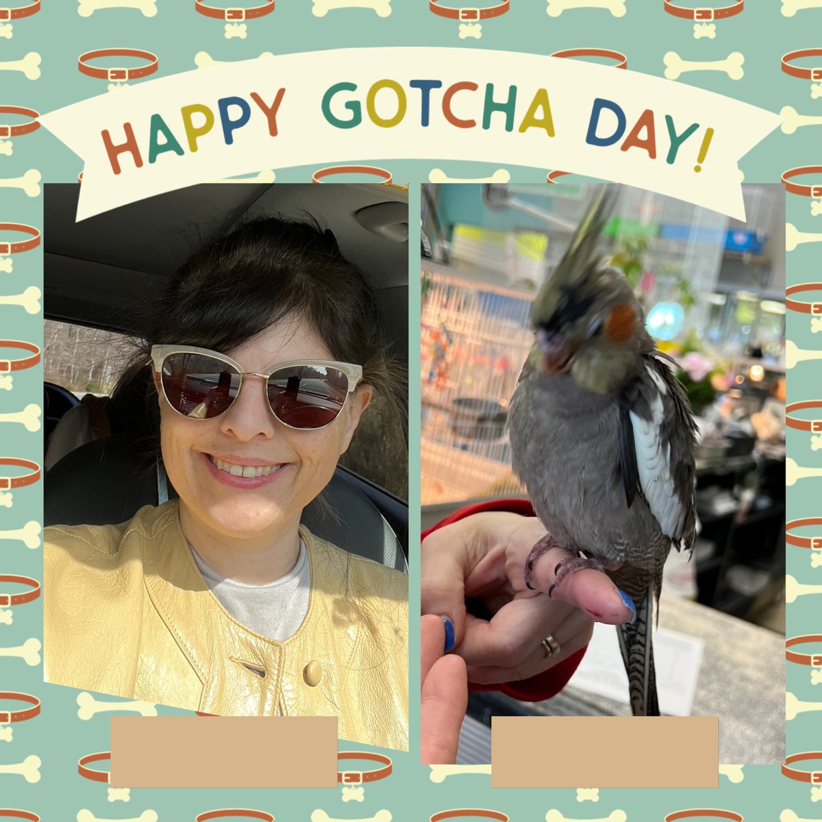 DebbieDooOptics's tweet photo. On my way to pick up our newest member of the family thinking of some names want opinions I’m going between Nebula, Quincy, Kronos, and Morpheus, but I’m really thinking about Nebula or Quincy. What’s your thoughts? https://t.co/I1uFuvNKWo