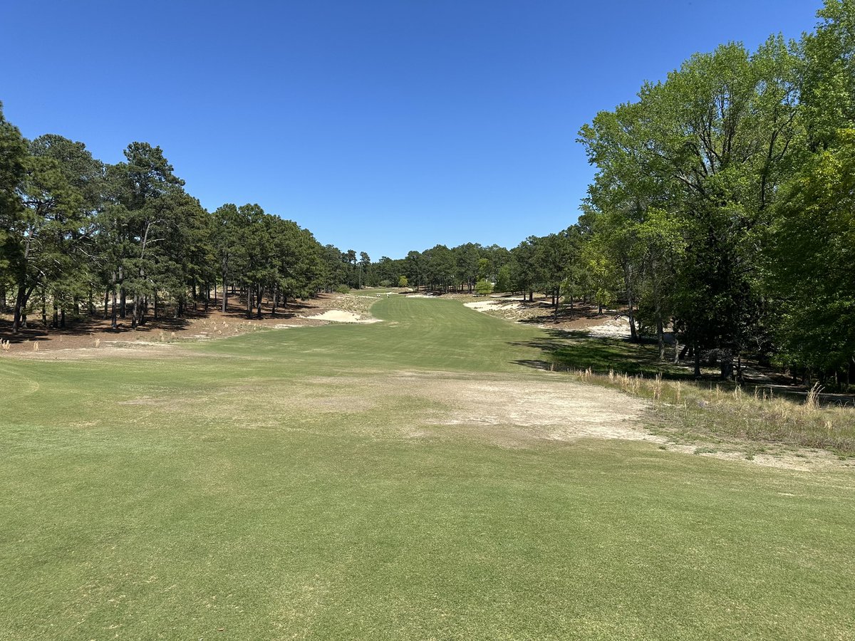 Luke Isiah tweet media