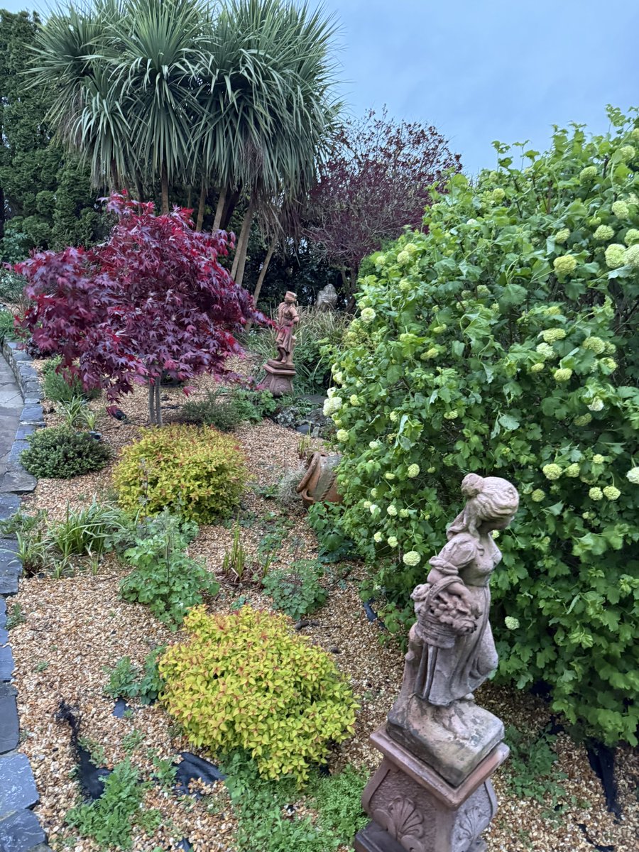 It’s amazing the growth this time of year! And the rain today has just jump started everything, green becomes so true and the colour increases and intensives everyday.
Monty makes it looks so easy splitting Hostas, We will keep trying 😂 <a href="/GWandShows/">BBC Gardeners World</a> 
#ChelseaFlowerShow2025