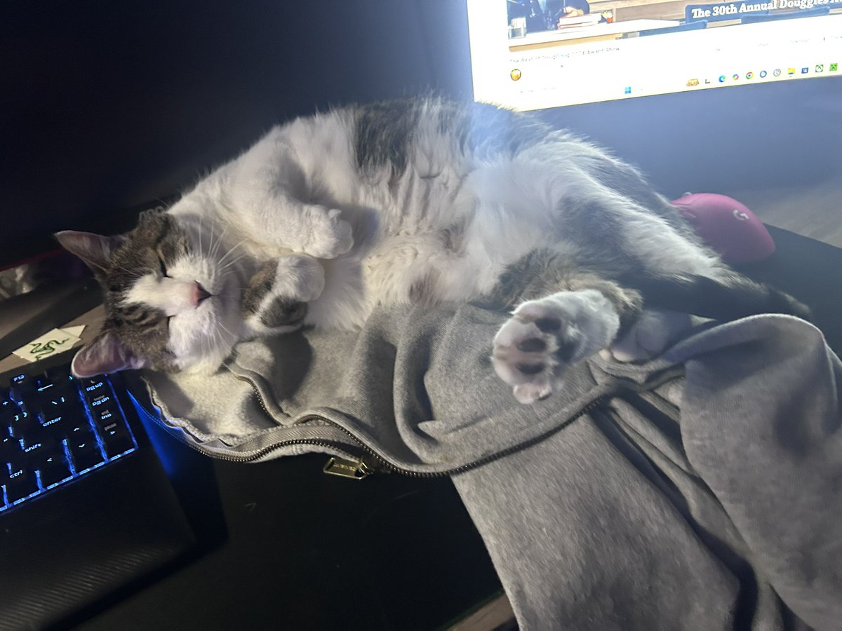 Chili crossed the rainbow bridge today.

Love you every day buddy