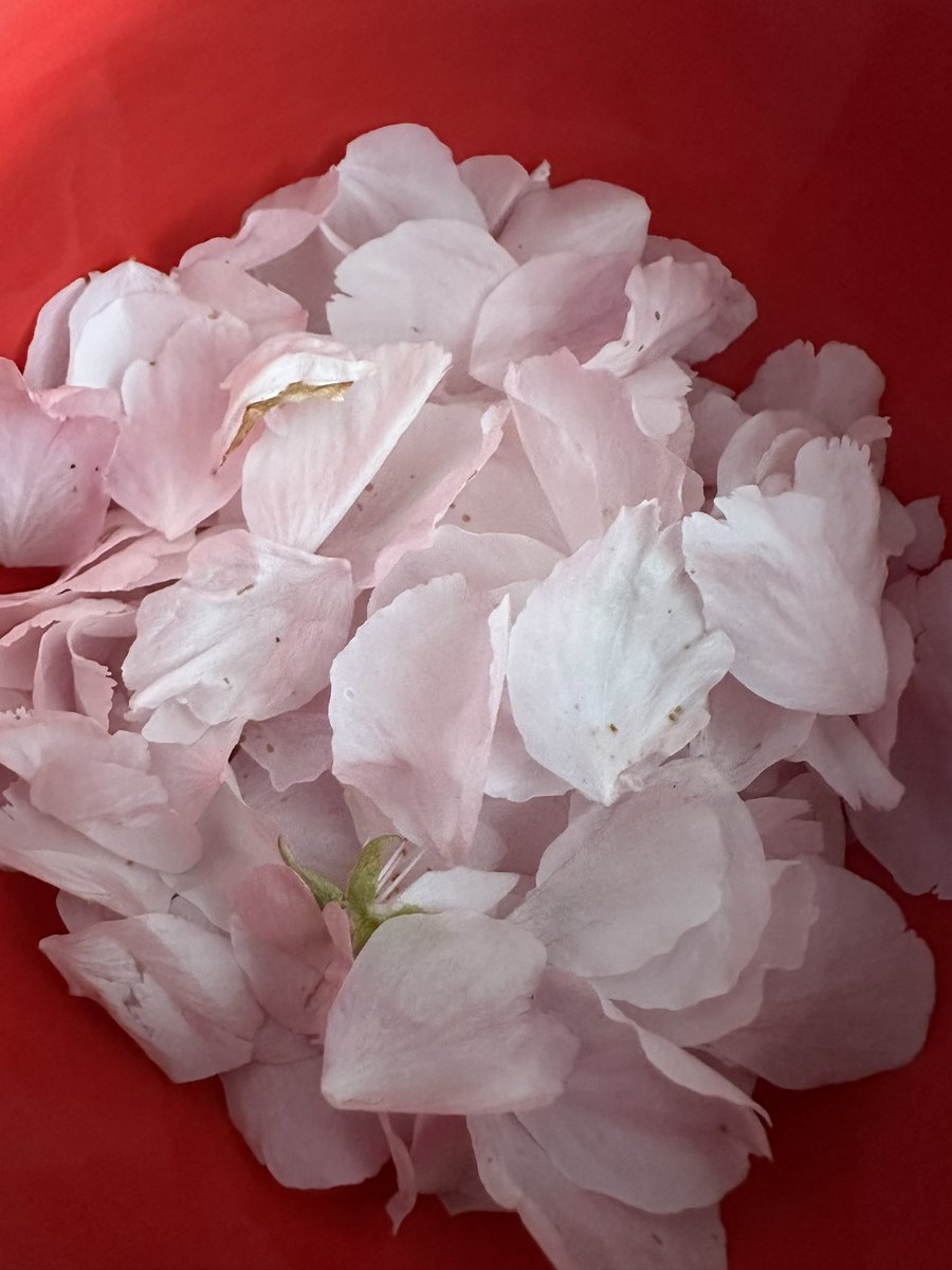 Kulbinder Mann tweet media