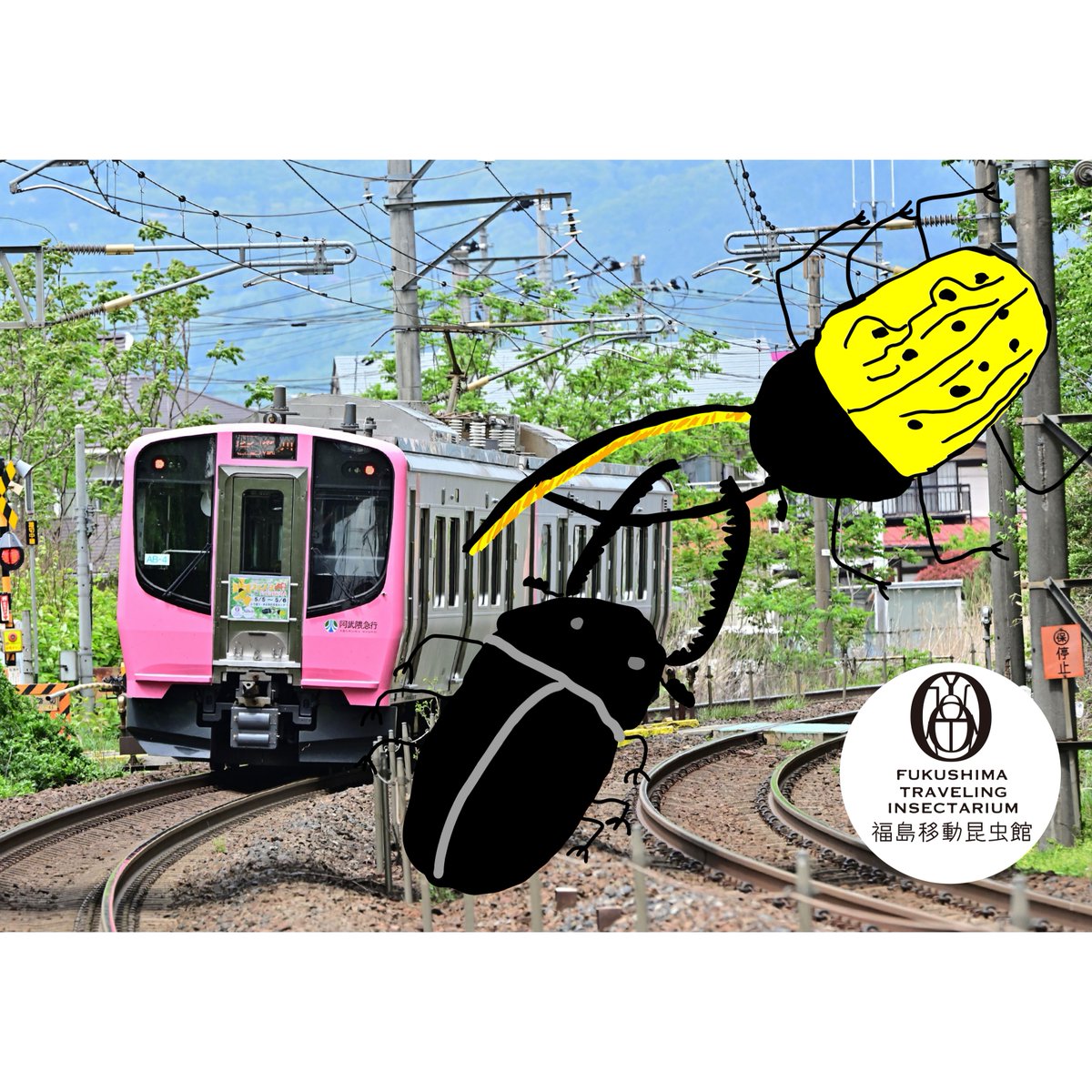 阿武隈急行
AB900-4系車両　ベッドマーク掲出
2024年7月～2024年8月31日

#阿武隈急行　#阿武隈急行線　#AB900系