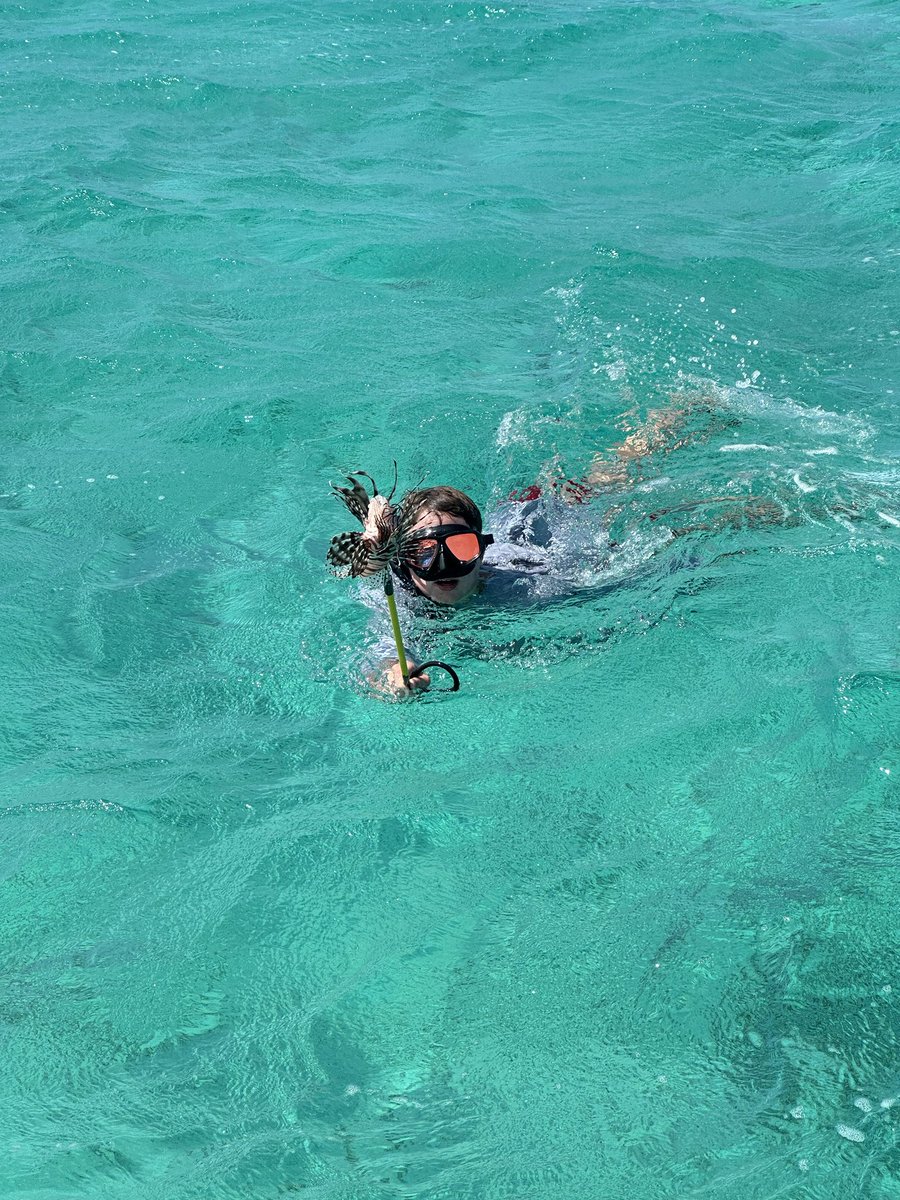nhhbbfan's tweet image. My 12 yr old Jack of all Trades. Hunter, fisherman, now spear fisherman. Better than screen time for sure.