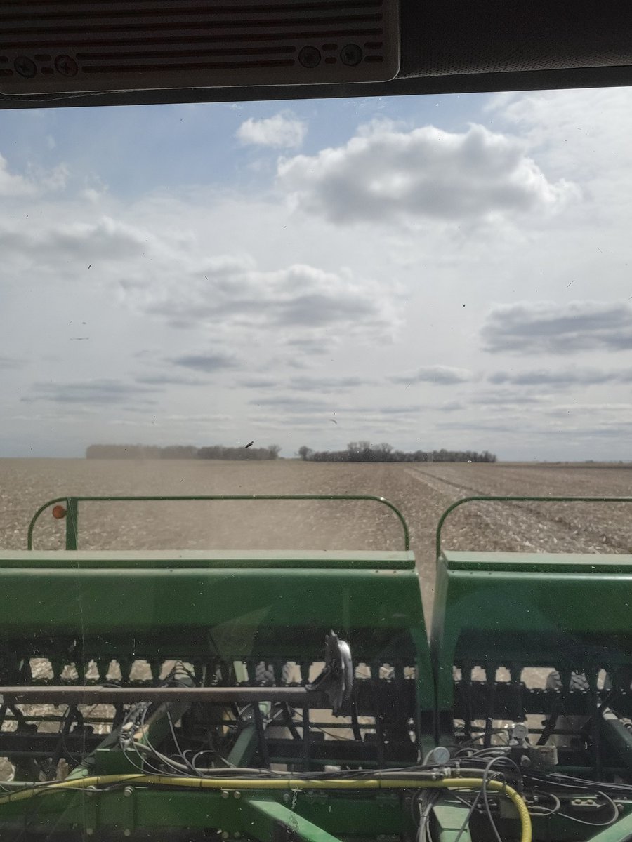 Brian Johnson tweet media