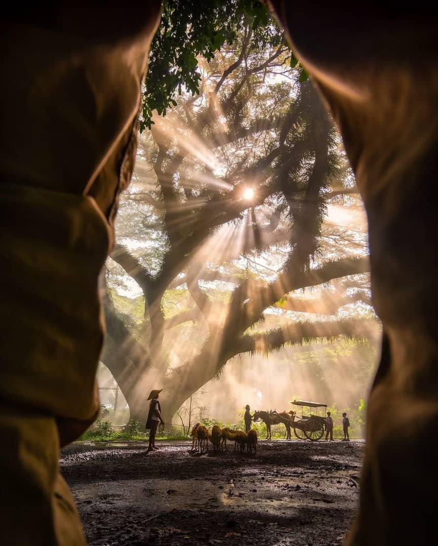 Secrets of light and shadow ✨