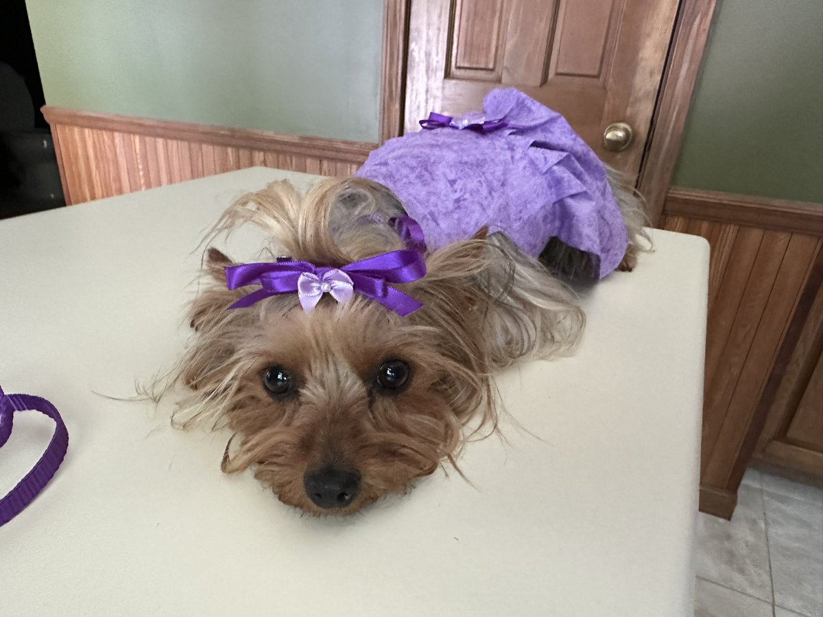 yadiCaldwell's tweet photo. My Cupcake wearing a dress made by my mom https://t.co/JRkg9Onxm4