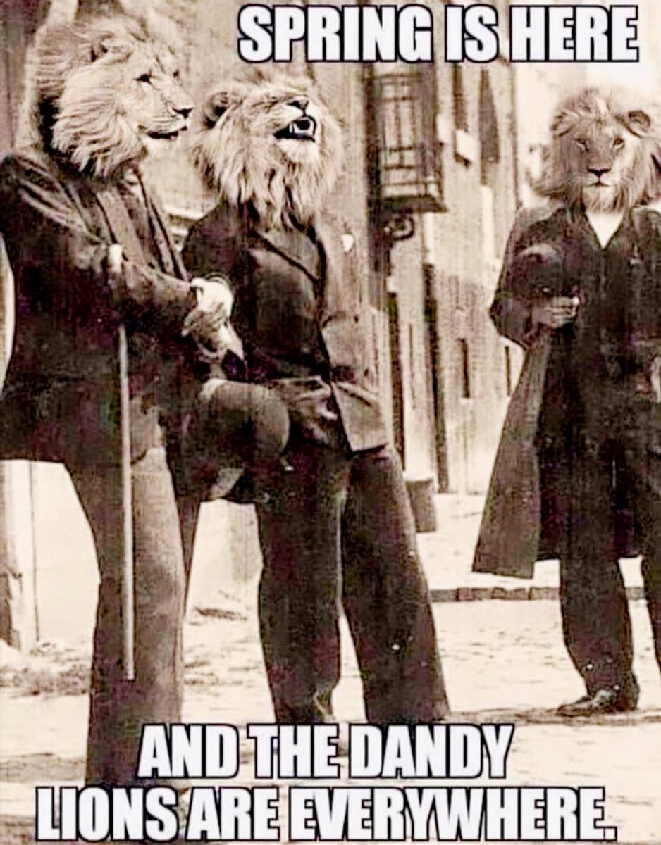 DaddyisBest's tweet image. #Dadjokes
#Springfinally