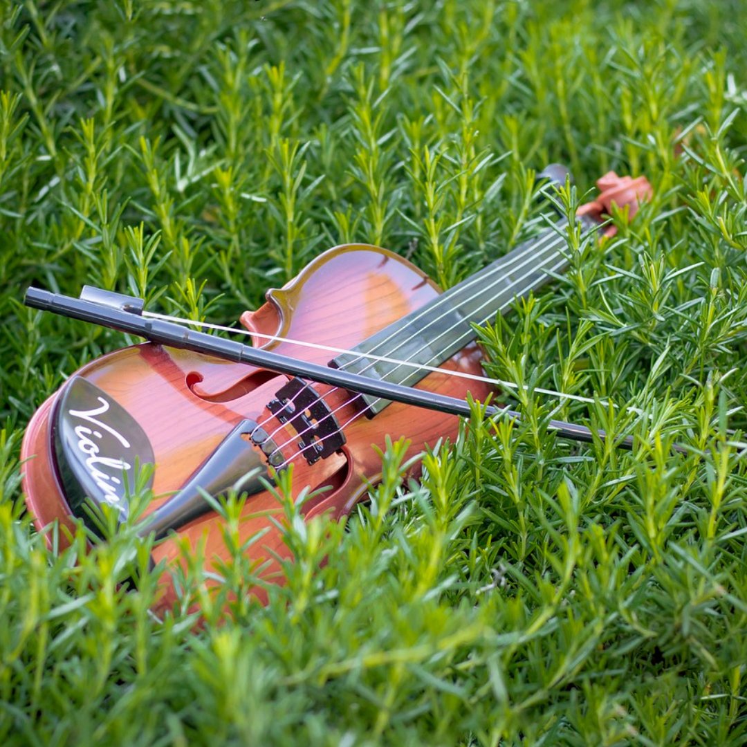 KatherineMoller's tweet photo. The magic of the fiddle is in every note—it fills the air and carries a piece of your heart. Keep playing, keep feeling, and let the music guide you.  

#FiddleMagic #KeepPlaying #FolkVibes #FiddleLife https://t.co/n80VtFPyhx
